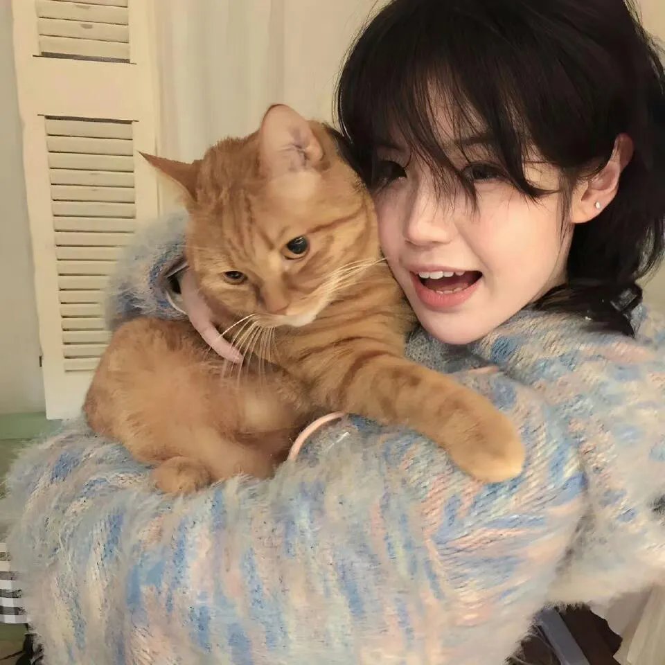 猎虎英雄未了情